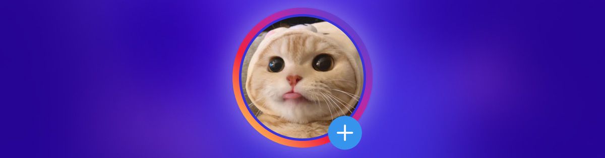 cat profile picture
